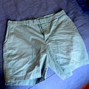 Green Patagonia cotton shorts 34 inch waist. Brand new.